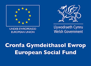 A logo showing who funds ACE