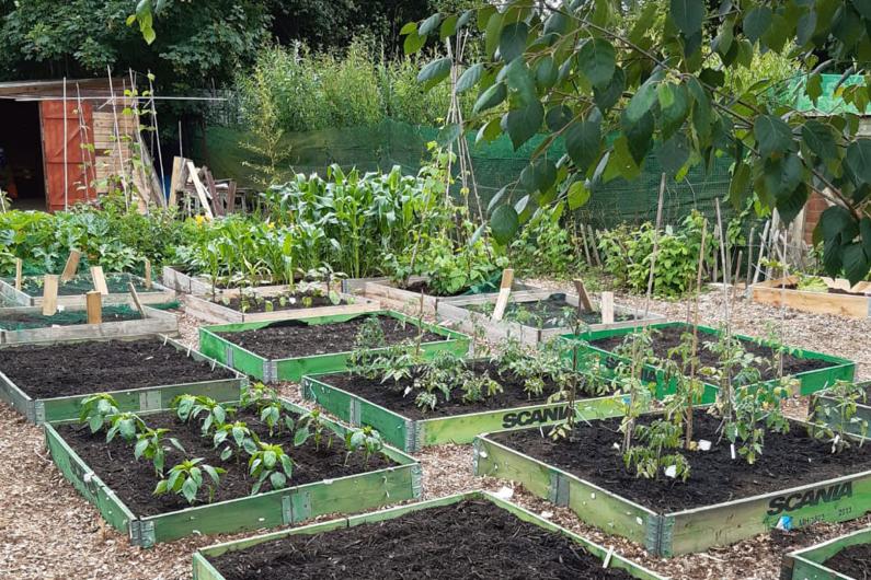 The positive choices allotment